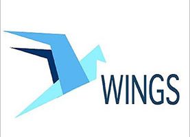 Wings.AI – Part Crowdfunding Platform, Part Incubator for Blockchain-Based Projects