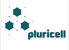 Pluricell Biotech – Creating a Commercially-Available Supply of Pluripotent Stem Cells