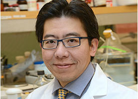 Gastric Cells Open for Business: Joe Zhou’s Tissue Regeneration Lab Works toward Diabetes Cure