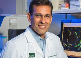 Transplanting Insulin-Producing Cells: Type 1 Diabetes Therapies & Cure with Juan Domínguez-Bendala