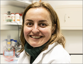 Goodnight Cancer: Can Controlling Circadian Rhythms Enable the Innate Immune System to Eradicate Cancer Cells?