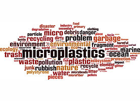 Microplastics & Waste: What Can We Do To Effectively Solve The Problem?