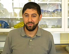 Maher Abou Hachem discusses major blood types and their role in transfusions and transplants.